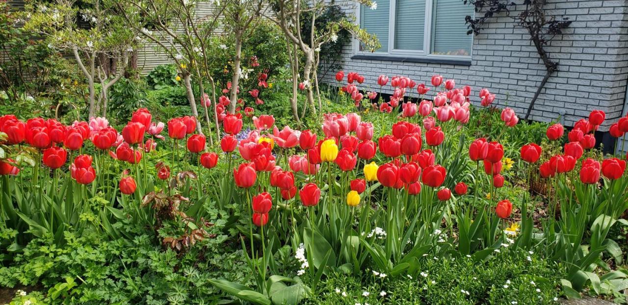 Mini-Apartment In The Flowerbed Soborg Exterior photo